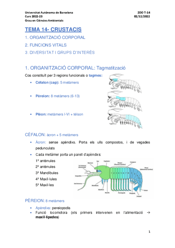 Miniatura del documento TEMA-14.pdf