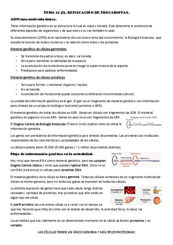 Miniatura del documento TEMA-12.pdf