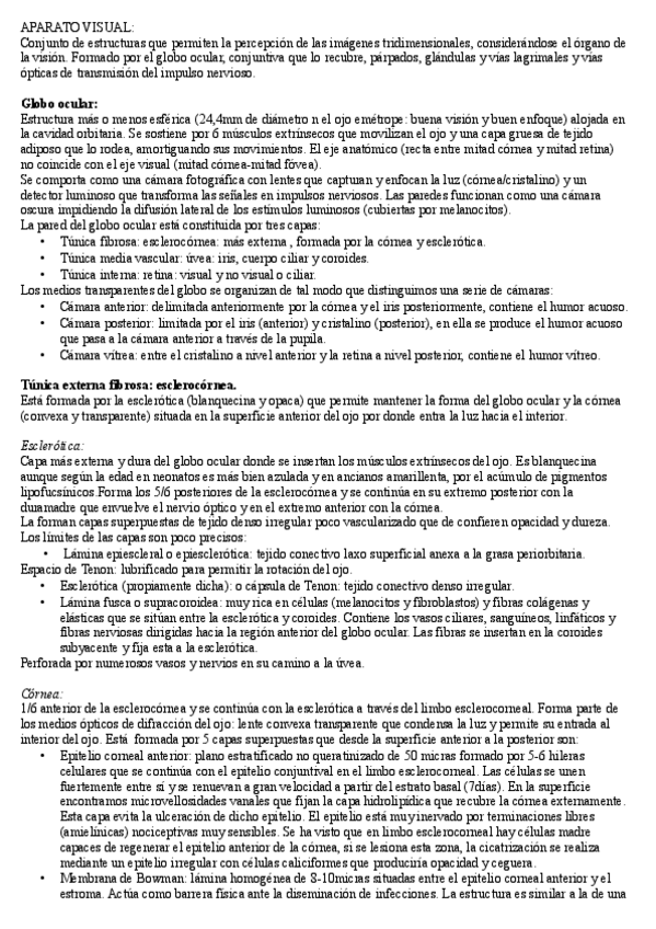 Miniatura del documento Globo ocular.pdf