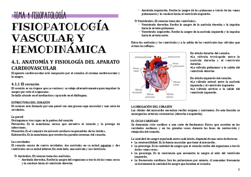Miniatura del documento Tema-4-FISIO.pdf