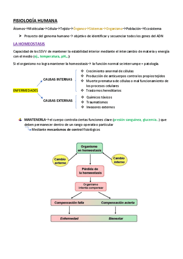 Miniatura del documento FISIOLOGIA-HUMANA.pdf