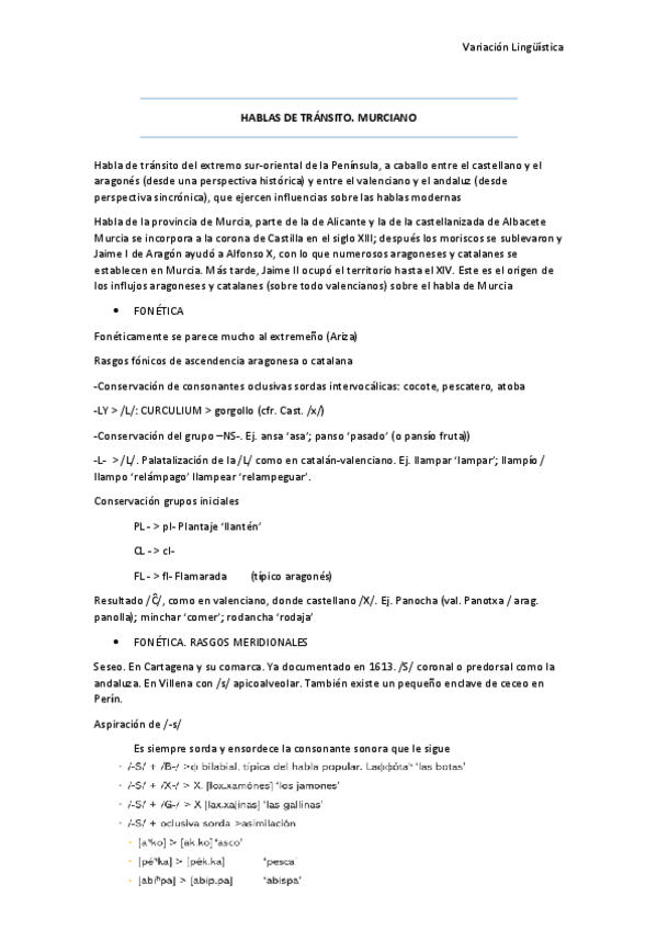 Miniatura del documento VL Murciano.pdf