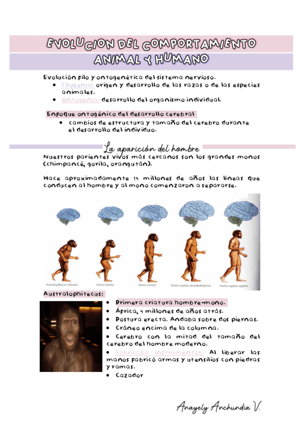 Miniatura del documento TP1-EVOLUCION.pdf