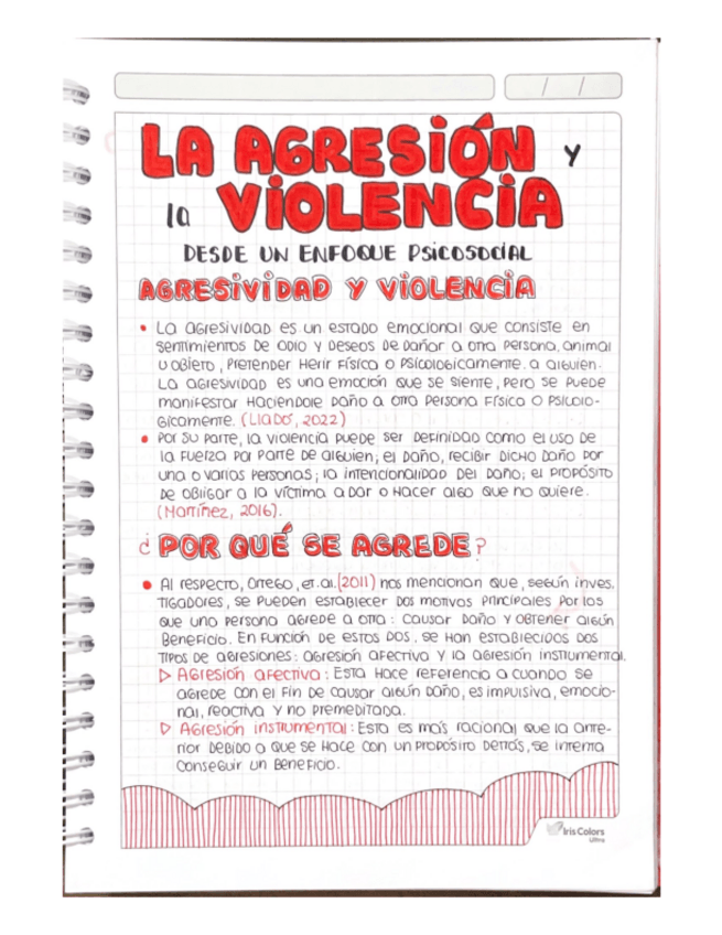 Miniatura del documento LA-AGRESION-Y-LA-VIOLENCIA.pdf