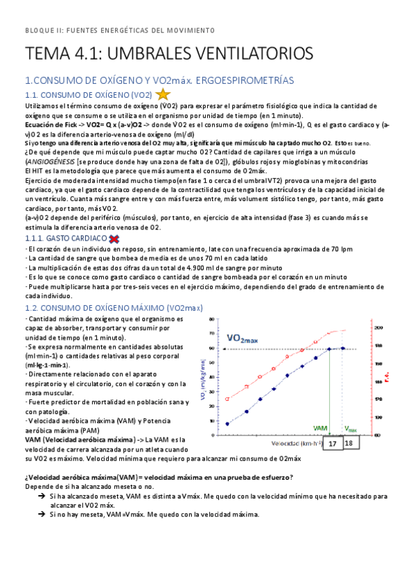 Miniatura del documento FEII.pdf
