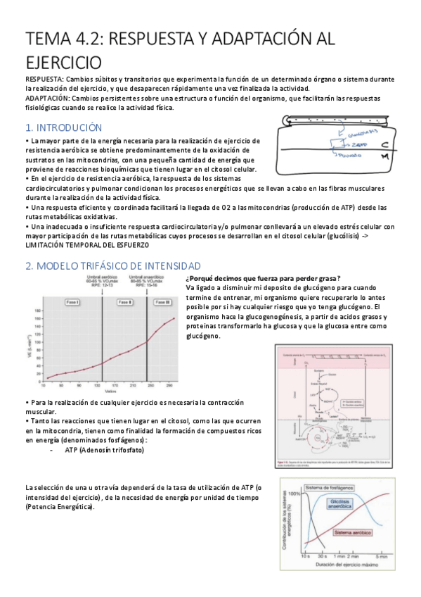 Miniatura del documento FEII.pdf
