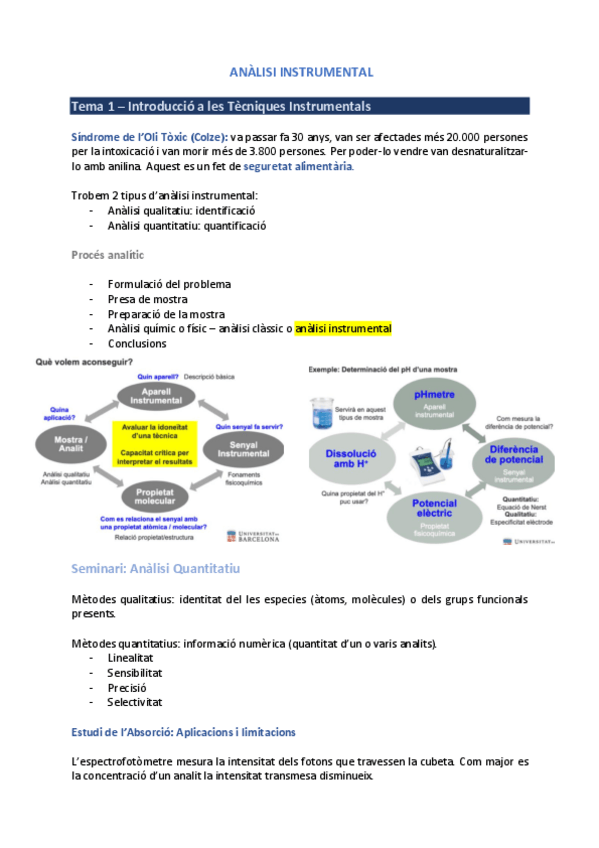 Miniatura del documento Apunts-teoria-analisi.pdf