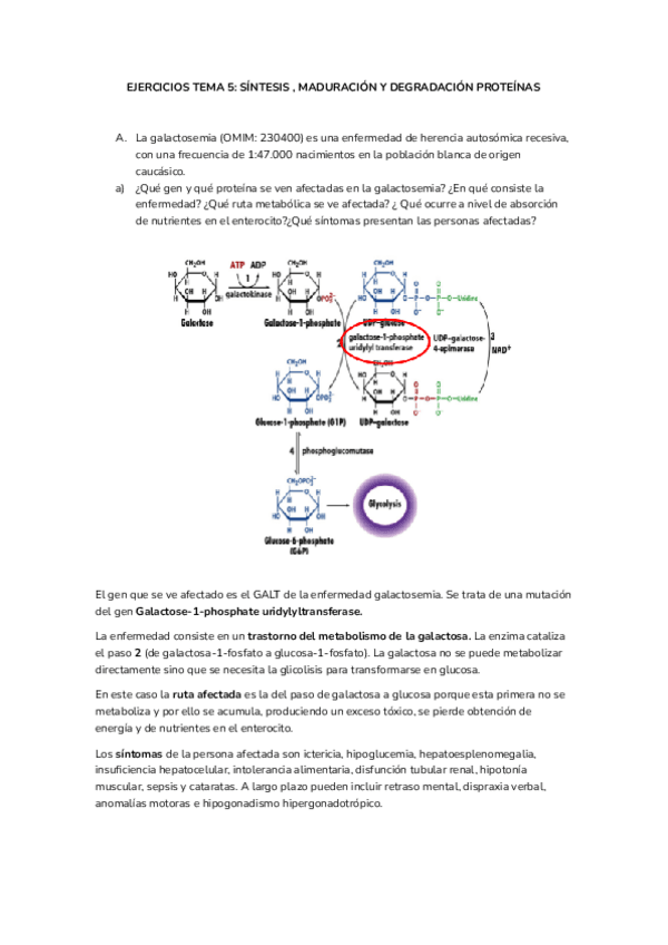 Miniatura del documento EJERCICIOS-TEMA-5-biologia.pdf