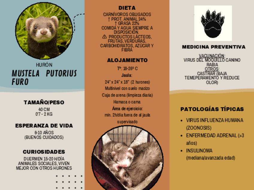 Miniatura del documento HURON-CANARIO-TORT-MEDIT.pdf