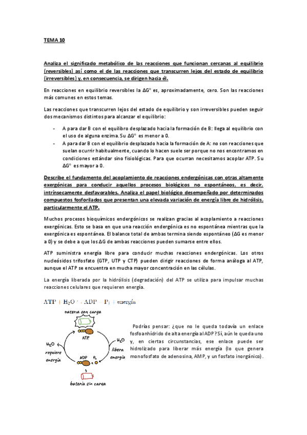 Miniatura del documento Cuestiones-finales-de-los-ppt-RESUELTAS.pdf