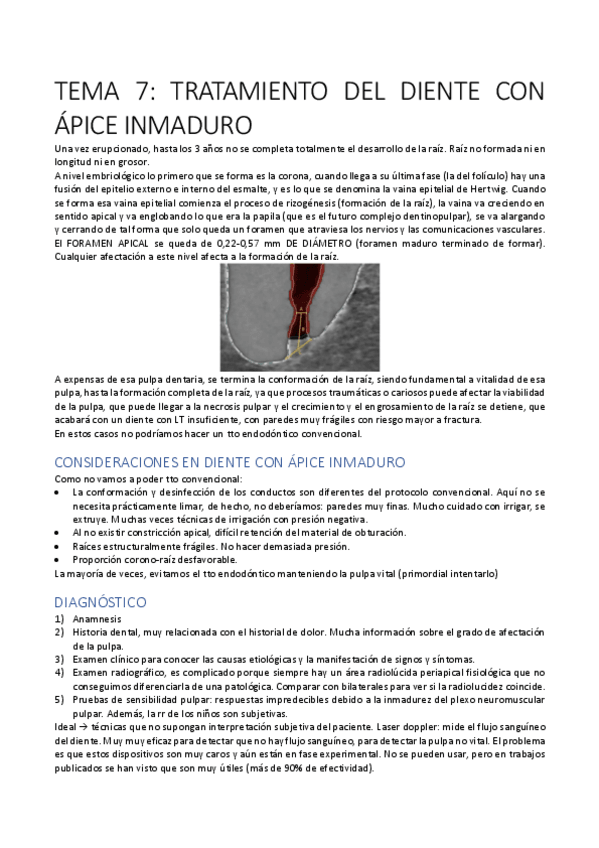 Miniatura del documento TEMA-7-PTD.pdf