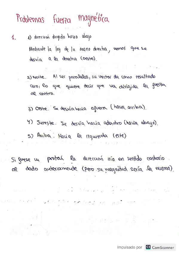 Miniatura del documento Fuerza-Magnetica-1.pdf