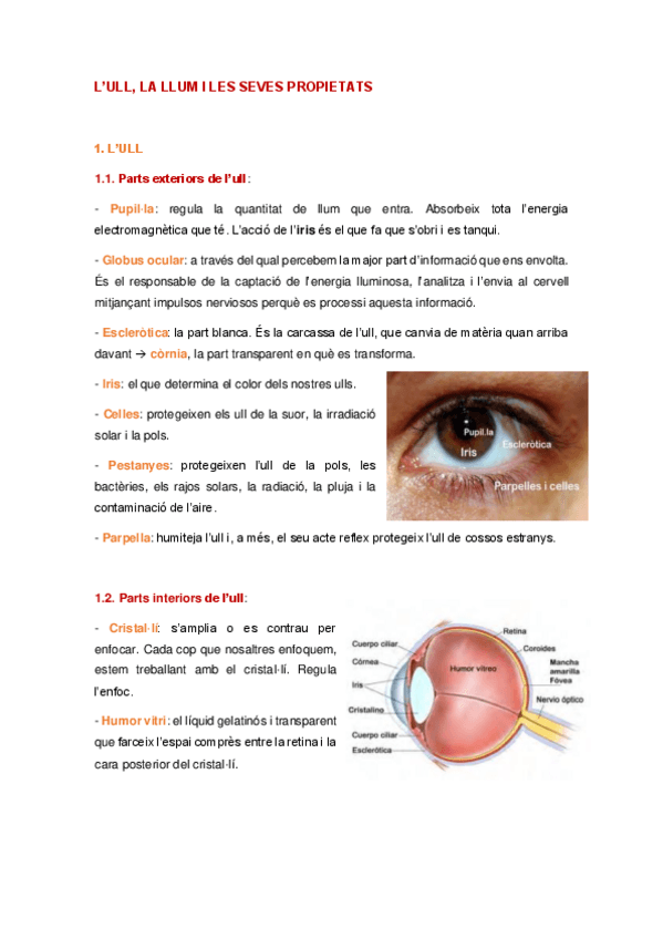 Miniatura del documento IL·LUMINACIÓ (TOT).pdf