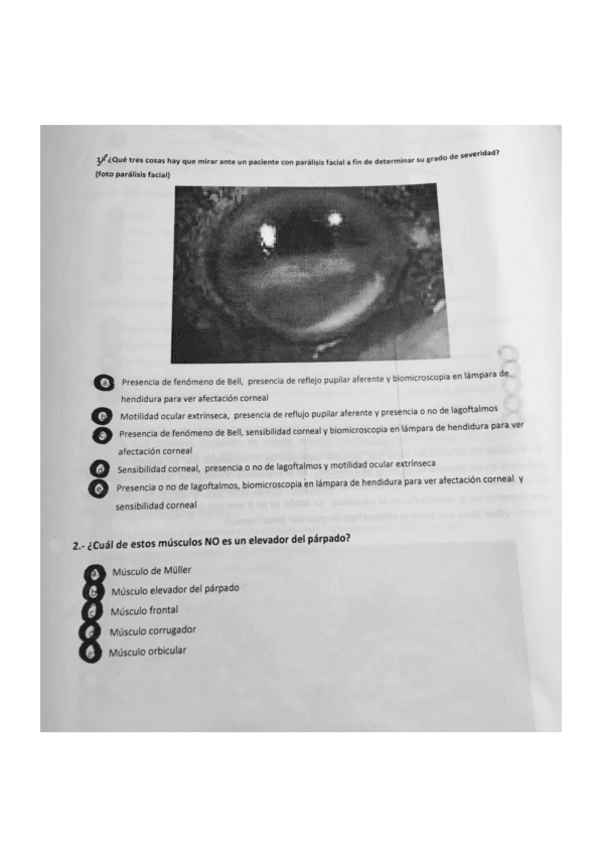 Miniatura del documento OF-1P-2016-2017.pdf