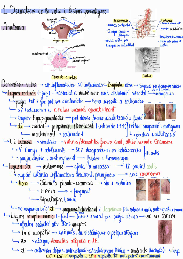 Miniatura del documento Resum-1r-gine.pdf