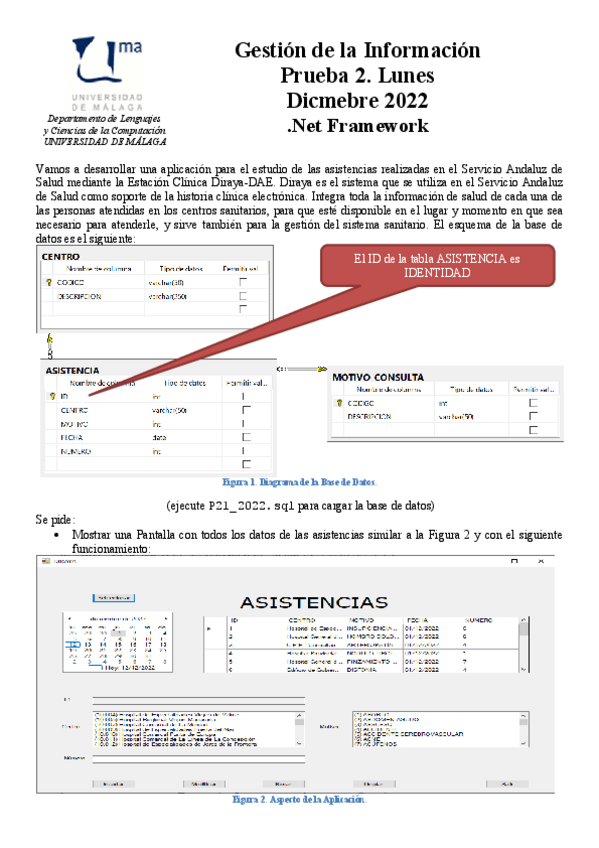 Miniatura del documento P212022.pdf