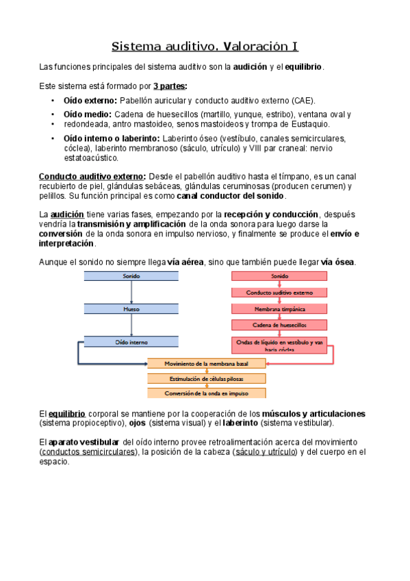 Miniatura del documento Sistema-auditivo.pdf
