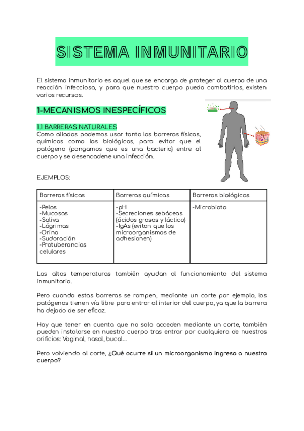 Miniatura del documento El-sistema-inmunitario-.pdf