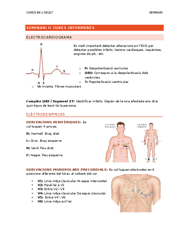 Miniatura del documento SEMINARI-ECG.docx