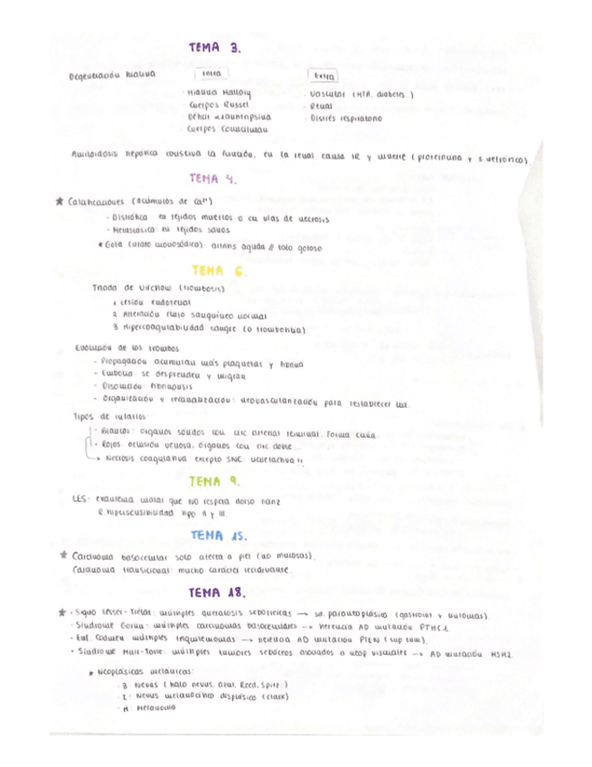 Miniatura del documento AP-IMPORTANTE.pdf