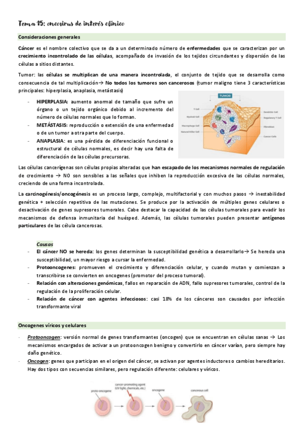 Miniatura del documento Micromed-T15.pdf