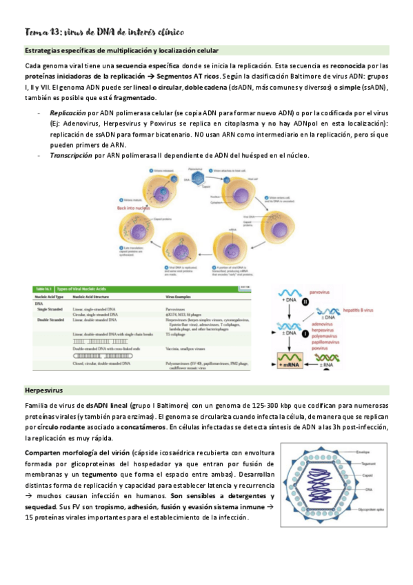 Miniatura del documento Micromed-T13.pdf
