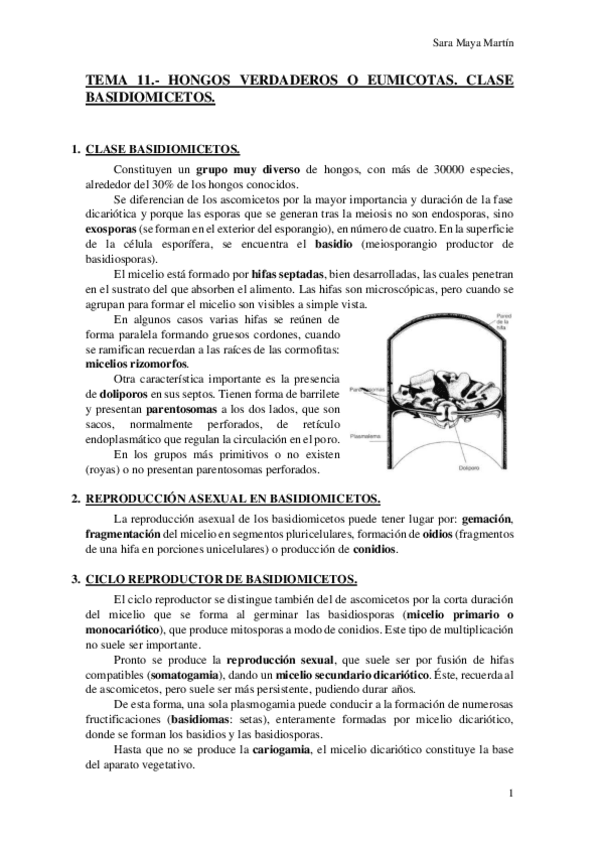 Miniatura del documento TEMA 11.- HONGOS VERDADEROS O EUMICOTAS. CLASE BASIDIOMICETOS..pdf
