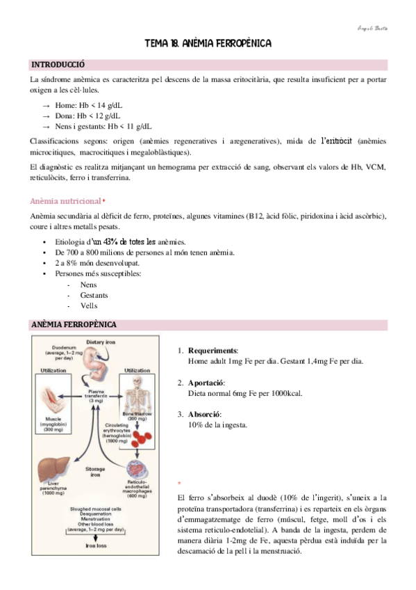 Miniatura del documento Tema-18.-Anemia-ferropenica.pdf