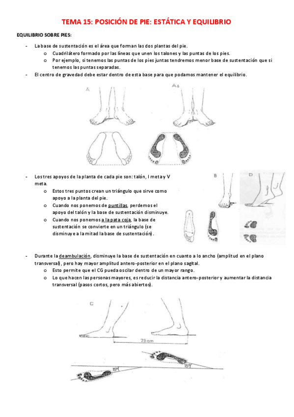 Miniatura del documento TEMA-15.pdf