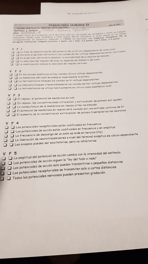 Miniatura del documento Examen-diciembre.jpg