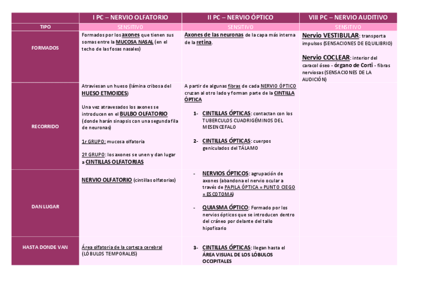 Miniatura del documento Pares craneales (125-127).pdf