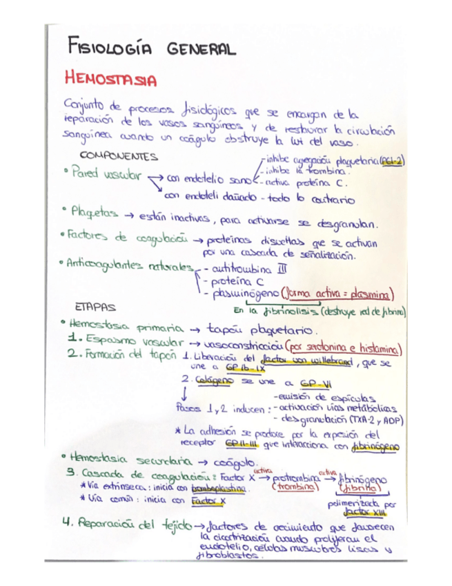 Miniatura del documento Esquema-Hemostasia-Sangre.pdf