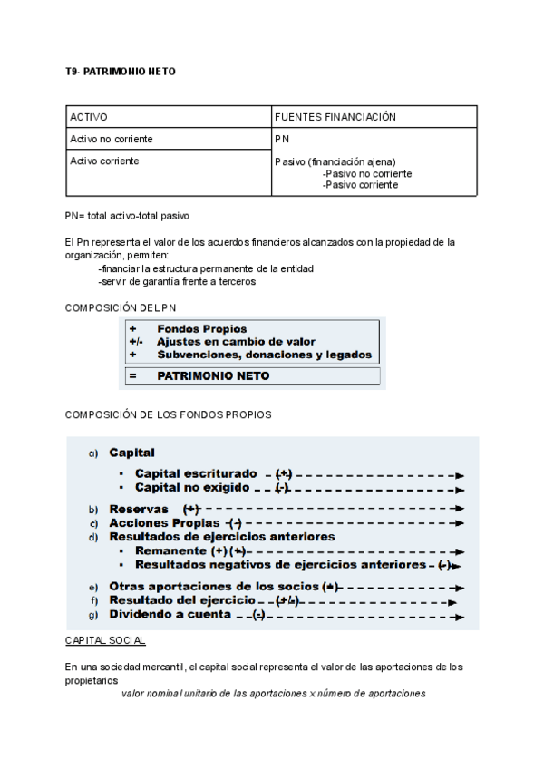 Miniatura del documento T9-PATRIMONIO-NETO.pdf