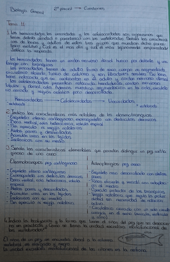 Miniatura del documento BiologiaGeneral-Cuestiones-2pp.pdf