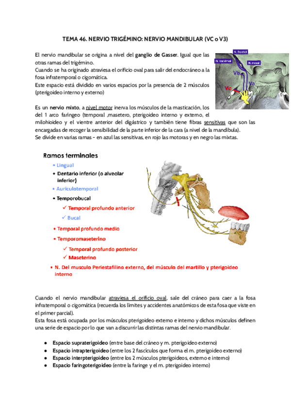 Miniatura del documento TEMA-46.pdf