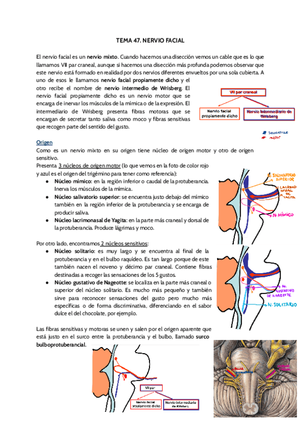 Miniatura del documento TEMA-47.pdf