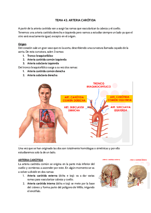 Miniatura del documento TEMA-43.pdf