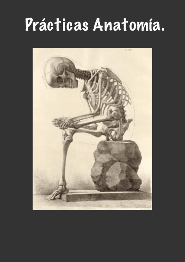 Miniatura del documento 1o-CuatriApuntes-De-Practicas.pdf