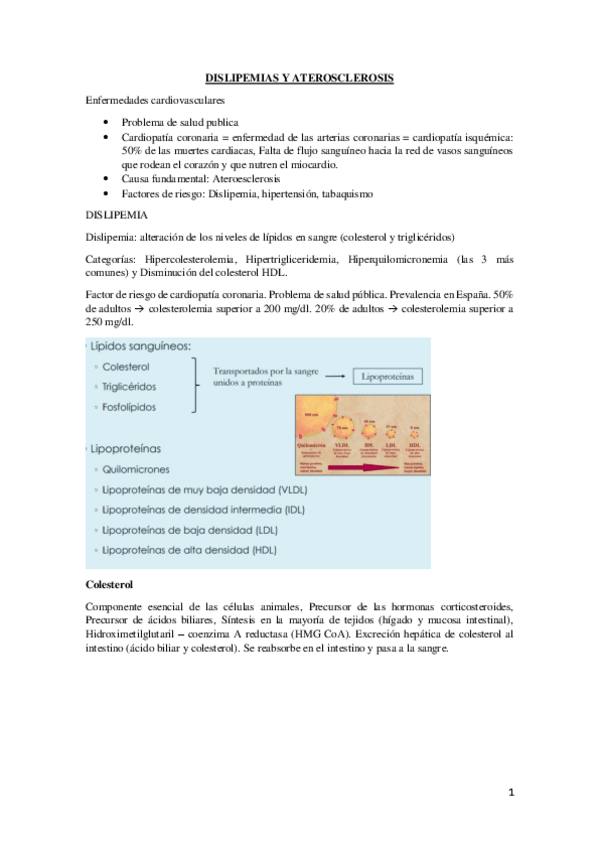 Miniatura del documento DISLIPEMIAS-Y-ATEROSCLEROSIS.pdf