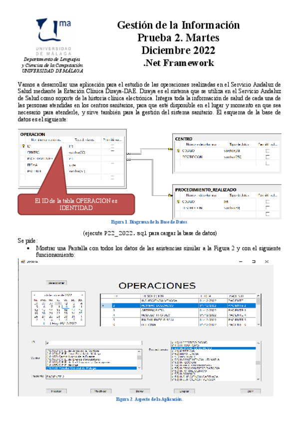 Miniatura del documento P222022.pdf