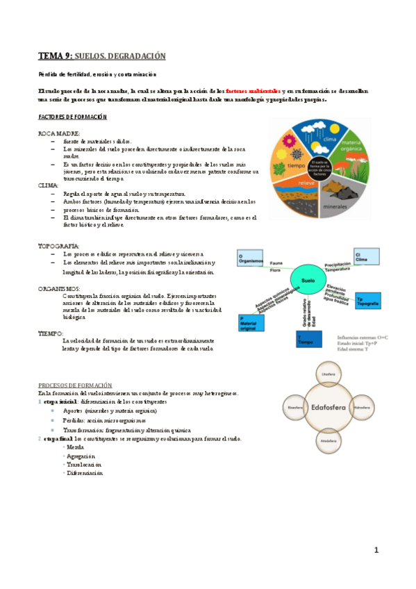 Miniatura del documento TEMA-9-GEOQUIMICA.pdf