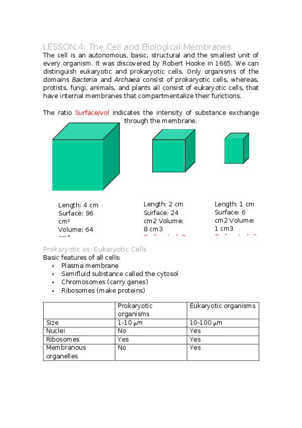 Miniatura del documento LESSON-4.docx