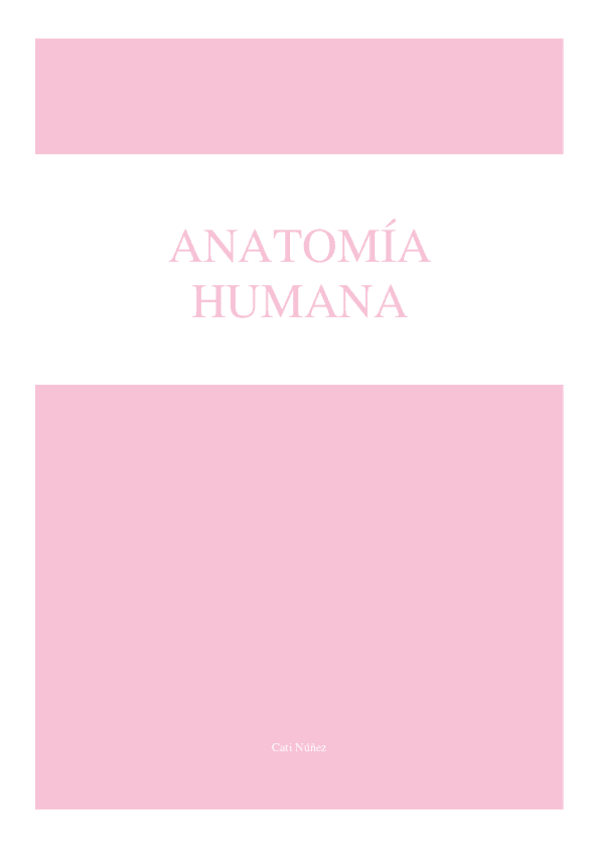 Miniatura del documento Temario-Anatomia-Parcial.pdf