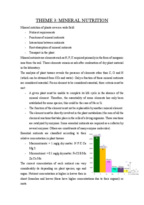Miniatura del documento Theme-3.pdf