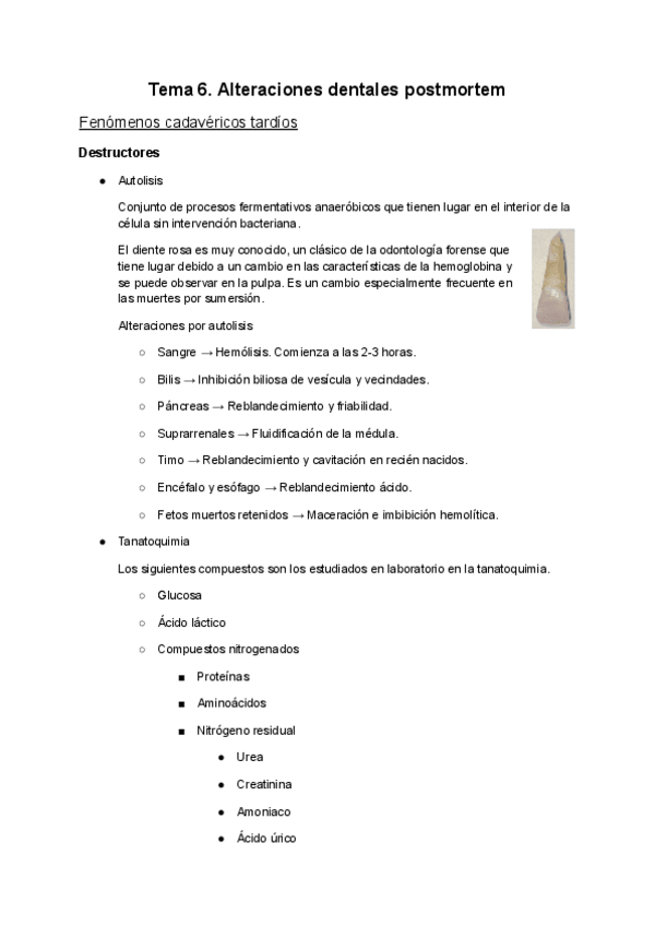 Miniatura del documento Tema-6.pdf