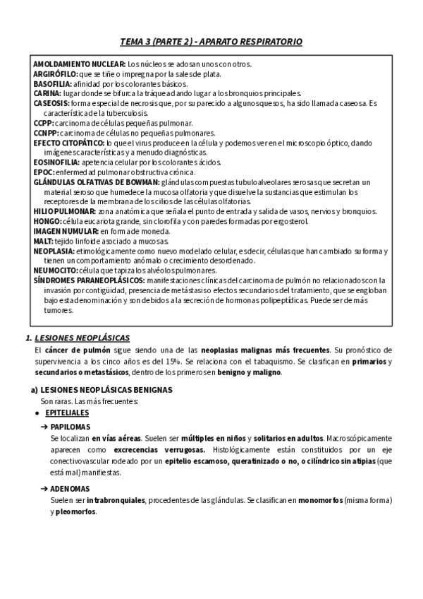 Miniatura del documento T.pdf