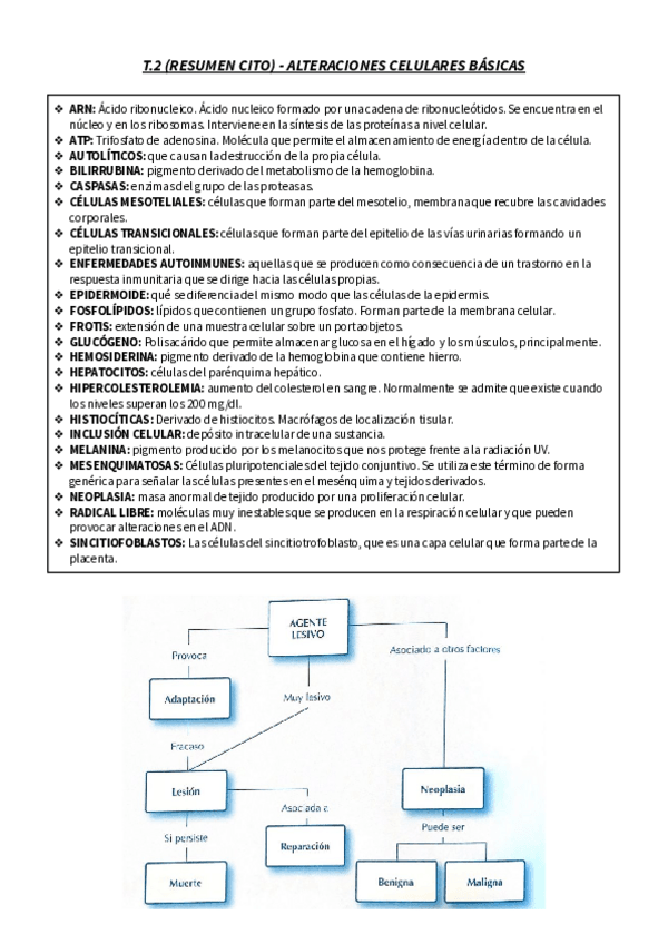 Miniatura del documento T.pdf