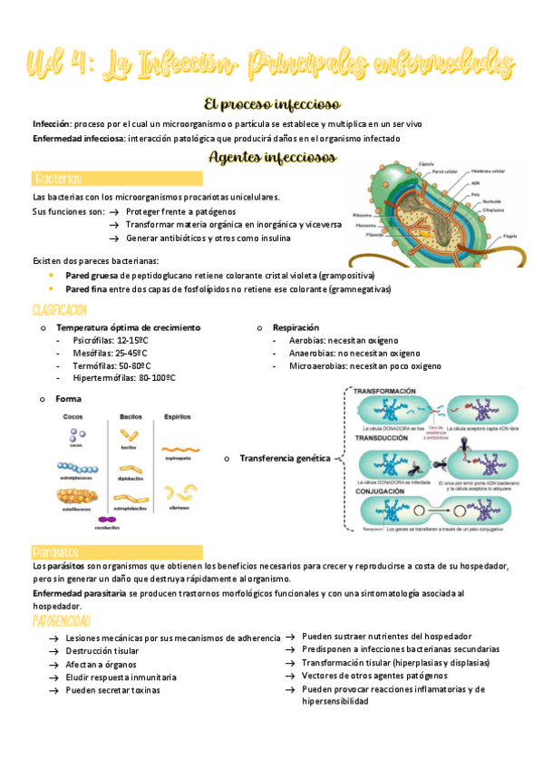 Miniatura del documento UD-4-FG.pdf