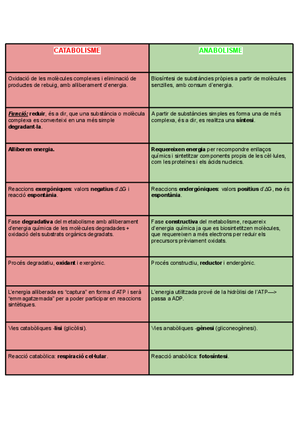 Miniatura del documento tabla-catabolisme-y-anabolisme.pdf