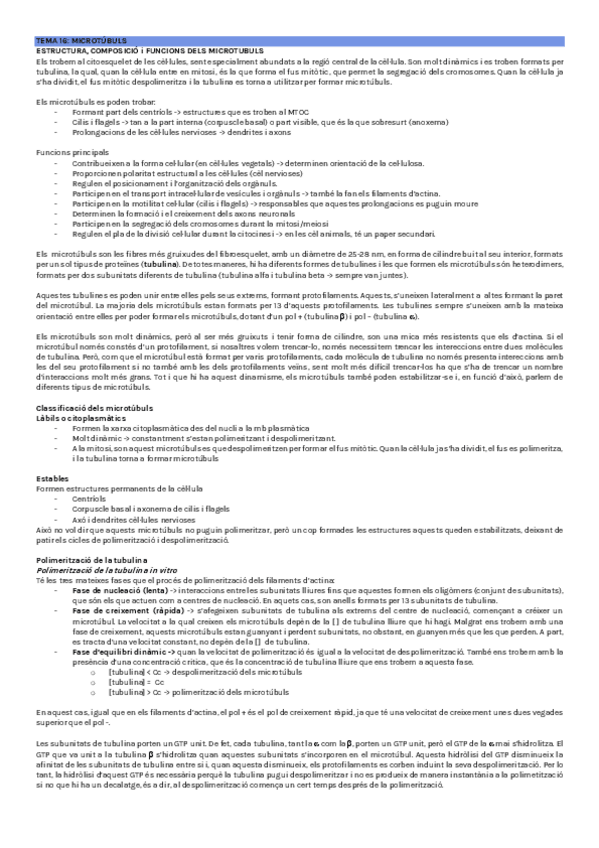 Miniatura del documento T16.pdf